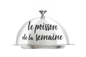 Poisson de la semaine